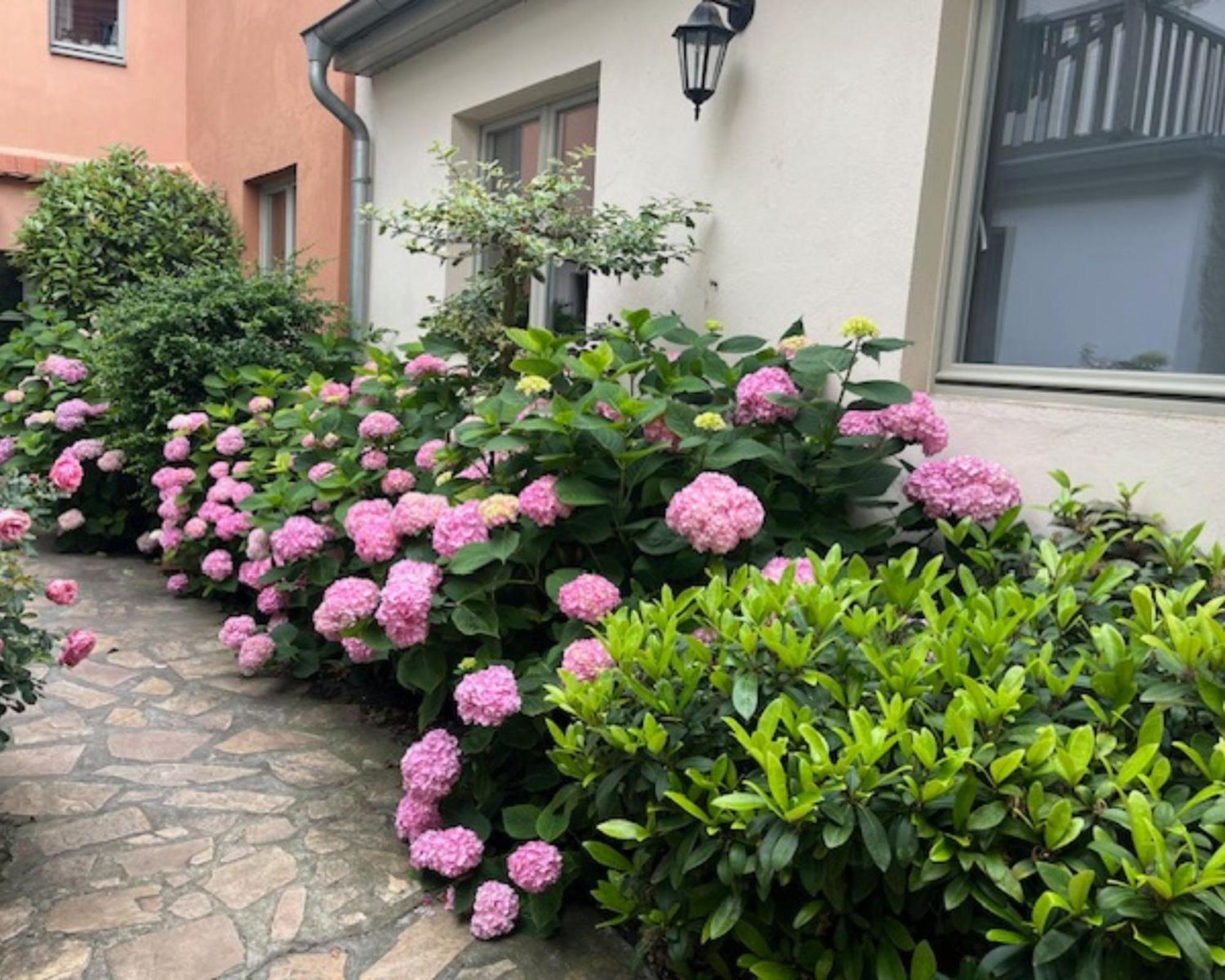 Altstadt-Quartier ชเตนดัล ภายนอก รูปภาพ